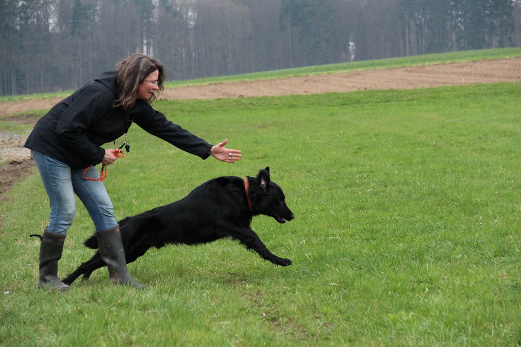 1-keanu-april12-foto-vroehrig